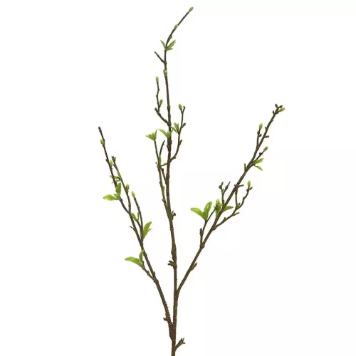 Payaa Frühlingszweig Grün 12x4x101cm (112146)