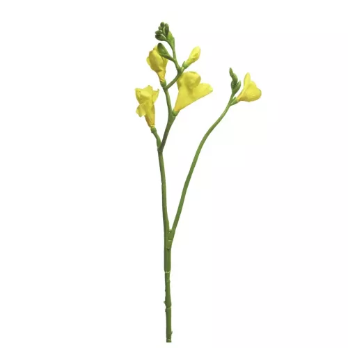 Payaa Freesie floramunda gelb 65cm (200988)
