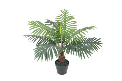 Payaa Palme 60cm Art.-Nr (201522)